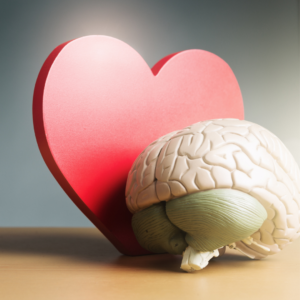 Health benefits of turmeric for the heart and brain.