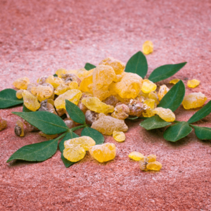 Boswellia resin (Frankincense), an Ayurvedic herb known for its potent anti-inflammatory benefits.