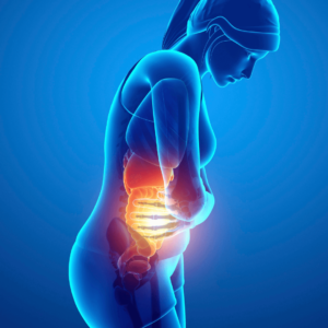 A digital illustration showing gut health and digestion improvement