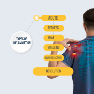 Types of acute inflammation and their impact on the body