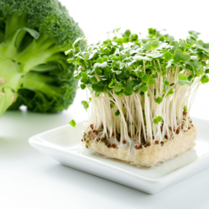 Seasonal Vegetables and Ayurveda for Environmental Wellness