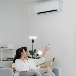 Artificial environment and the Ayurveda and environmental health