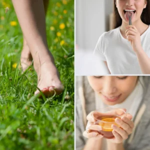 Ayurvedic grounding practice to reduce mental inflammation symptoms through nature and nervous system reset