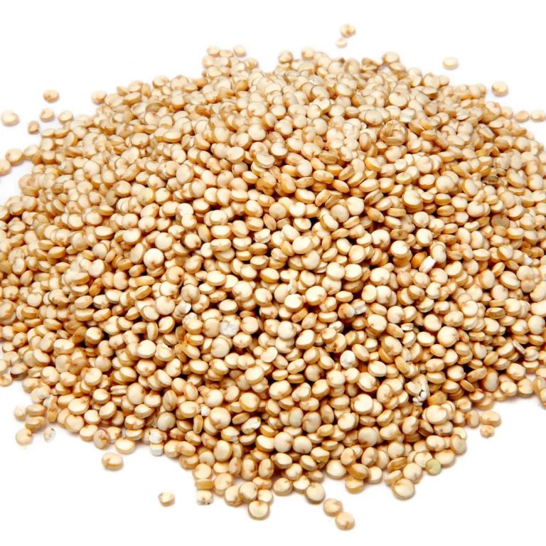 Website Photos Fusionary FF photos blogs 22 768x768.png 2