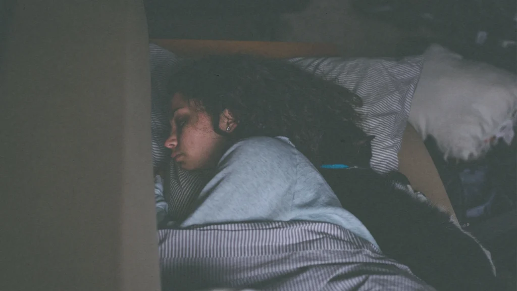 articles DailyDrip 2