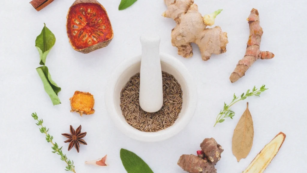 articles DailyDrip 3