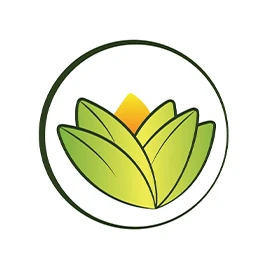 articles ayurvedaexperience
