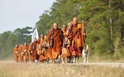 108 Days of Self-Love: A Sacred Walk Home to Inner Peace