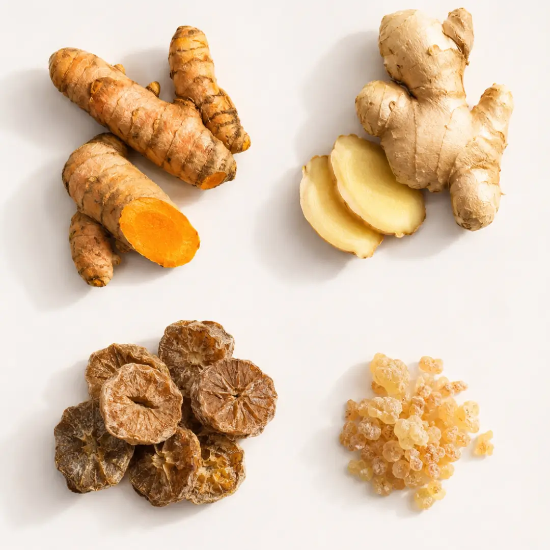 Ayurvedic botanicals: turmeric root, ginger, amla, and boswellia resin on a white surface