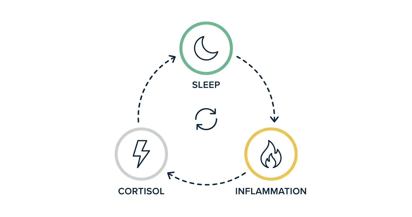 Diagram showing the sleep cortisol inflammation cycle and how disrupted sleep can raise inflammatory stress in the body.