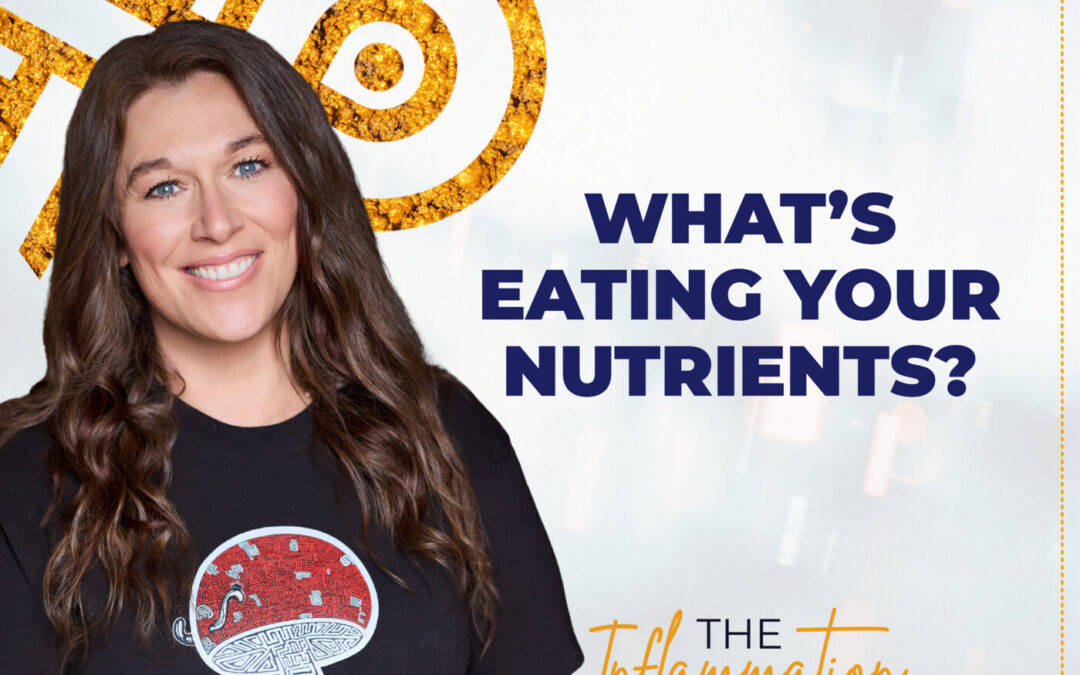 Could Parasites and Mold Be Behind Your Symptoms? with Kim Rogers, The Worm Queen
